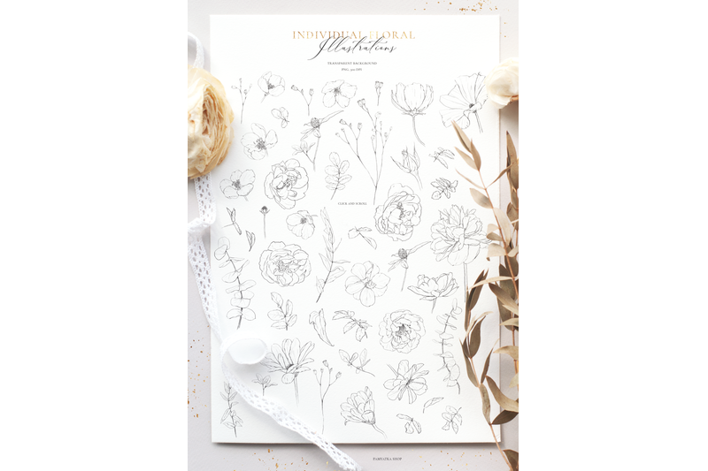 wildflowers-pencil-sketch-collection