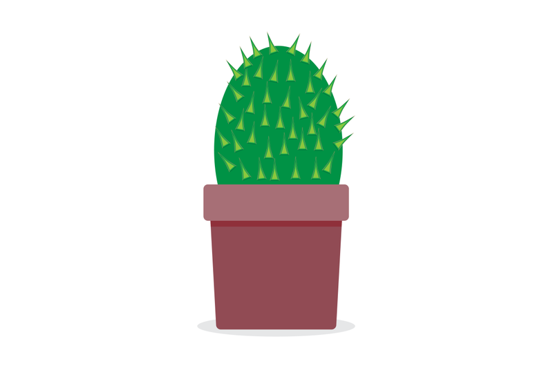 plant-cactus-isolated