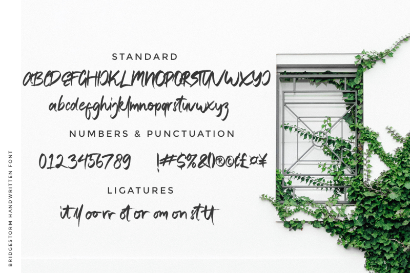 bridgestorm-modern-handwritten-font