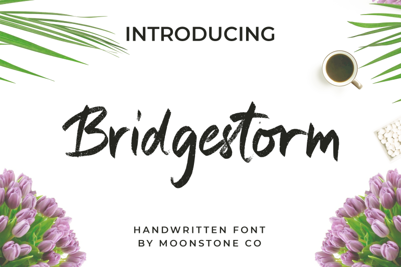 bridgestorm-modern-handwritten-font