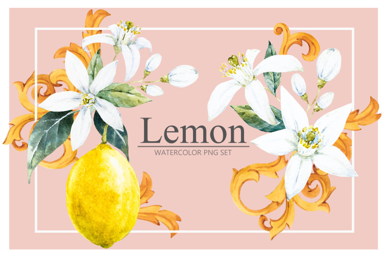 lemon-watercolor-set-png-jpeg