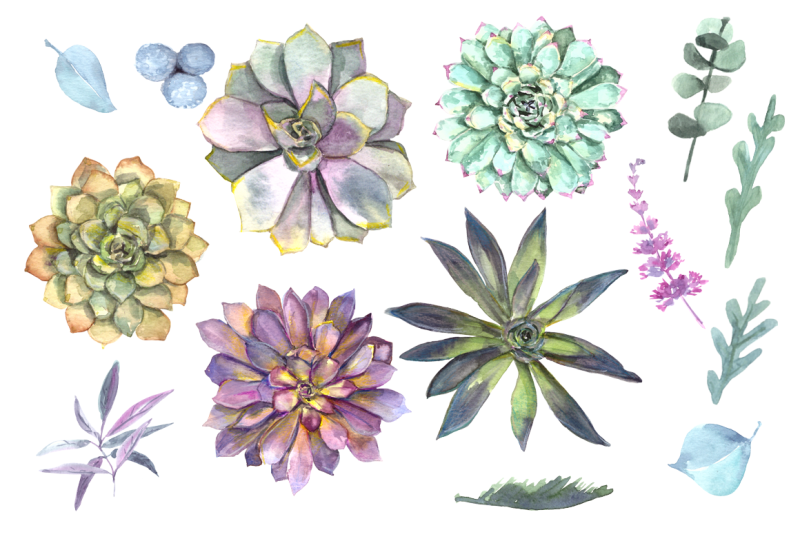 watercolor-succulent-garden-clip-art-set