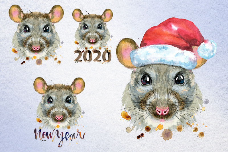 new-year-rat-collection
