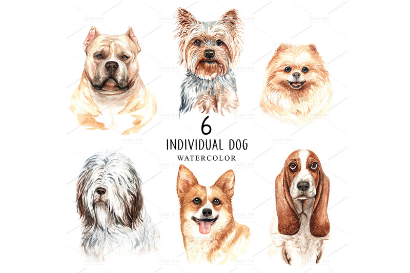 dogs-and-accessories-watercolor-clipart-pets-clip-arts-setc