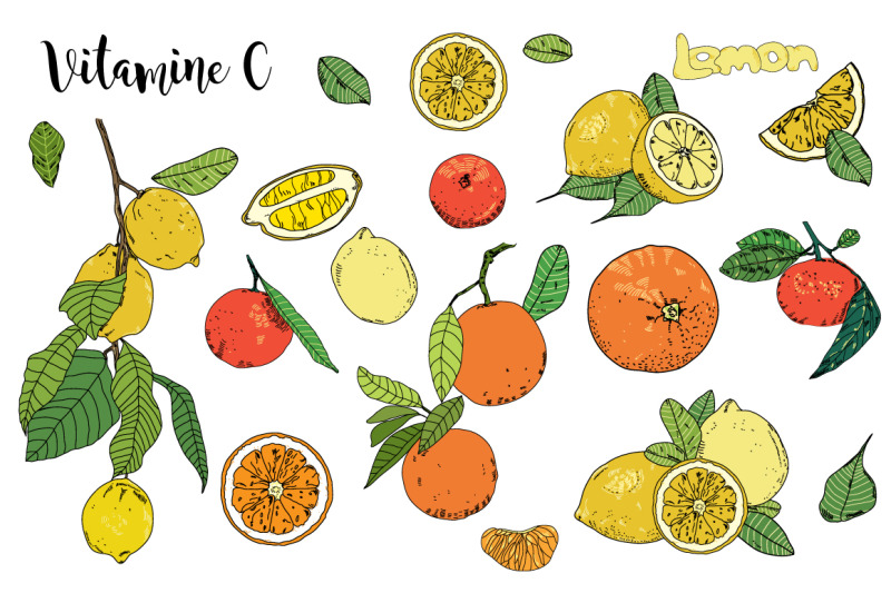 vitamine-c-lemon-orange-mandarine-vector-set