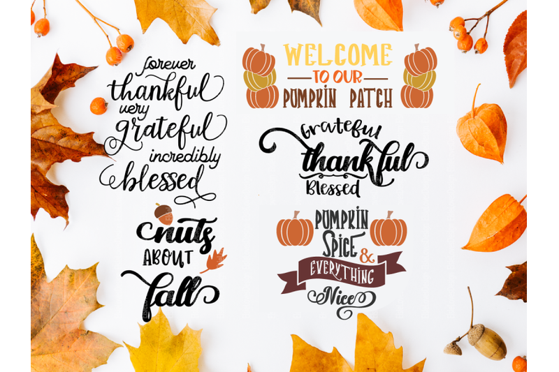 fall-thanksgiving-quotes-svg-bundle