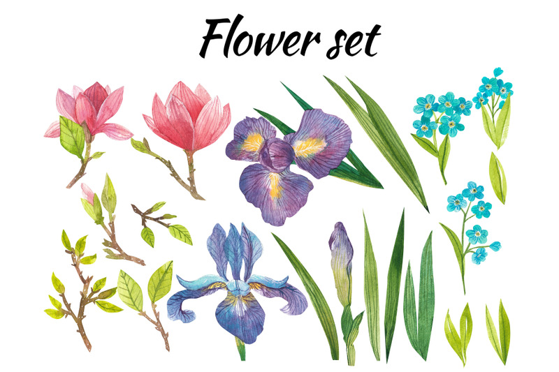 rt-watercolor-iris-forget-me-not-magnolia-isolated-clipart-with-flowe