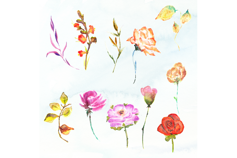 watercolor-bouquets-and-flowers-blush-florals-bouquets