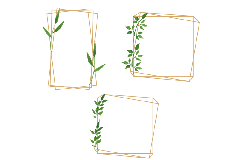 minimal-geometric-frames-botanical-watercolor-frames