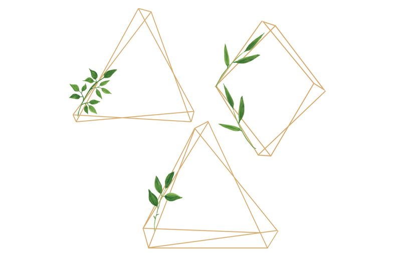 minimal-geometric-frames-botanical-watercolor-frames