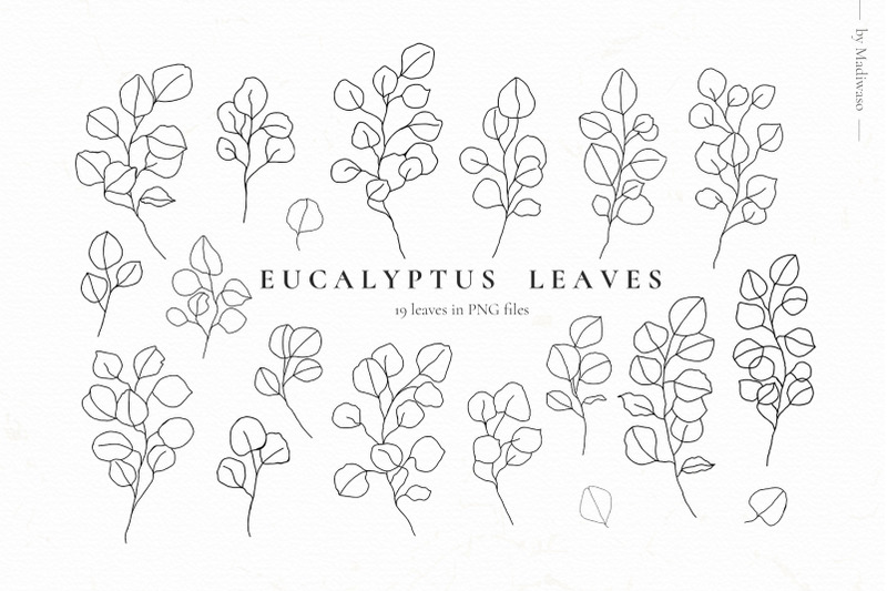 eucalyptus-watercolor-green-leaves