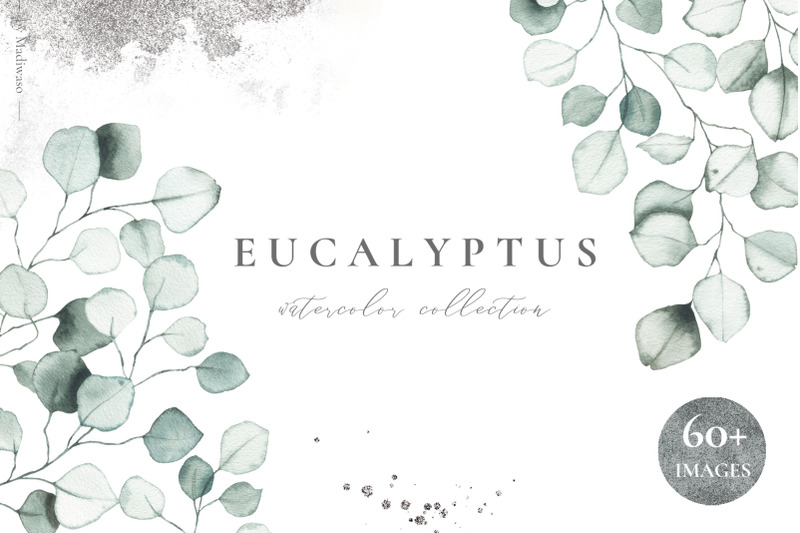 eucalyptus-watercolor-green-leaves