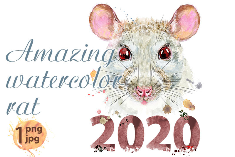 watercolor-portrait-of-white-rat-with-splashes-and-year-2020