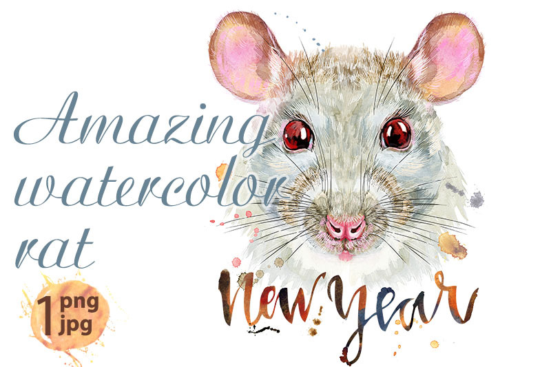 watercolor-portrait-of-white-rat-with-the-inscription-new-year