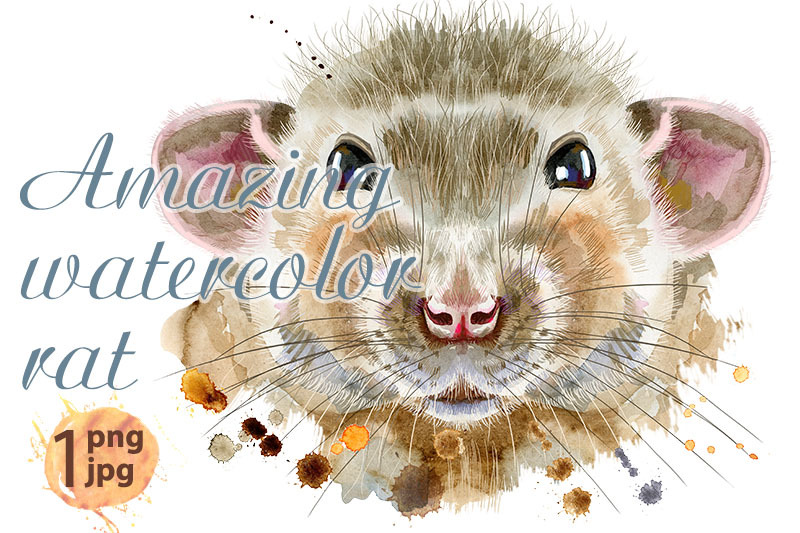 watercolor-portrait-of-rat-with-splashes