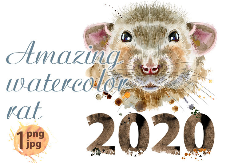 watercolor-portrait-of-rat-with-splashes-and-year-2020