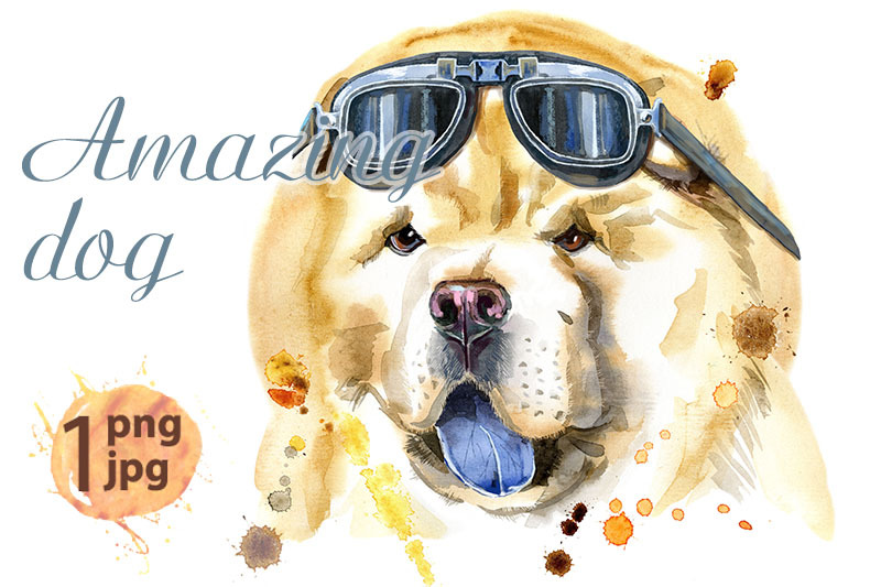 watercolor-portrait-of-chow-chow-dog-with-biker-sunglasses