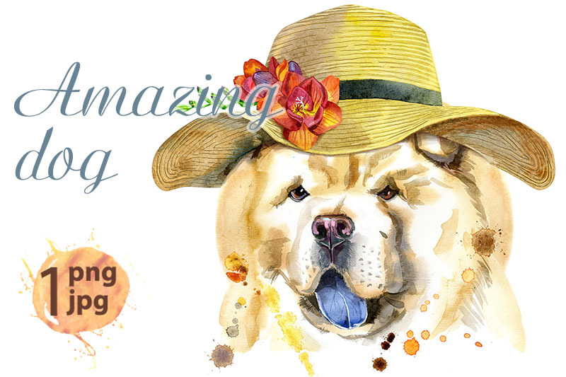 watercolor-portrait-of-chow-chow-dog-with-a-wide-brimmed-summer-hat