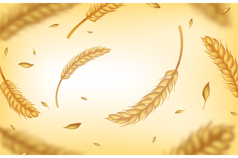 realistic-wheat-background-agricultural-harvest-ears-and-grains-orga