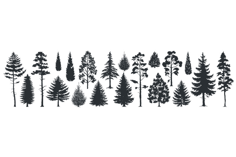 pine-tree-silhouettes-evergreen-forest-firs-and-spruces-black-shapes