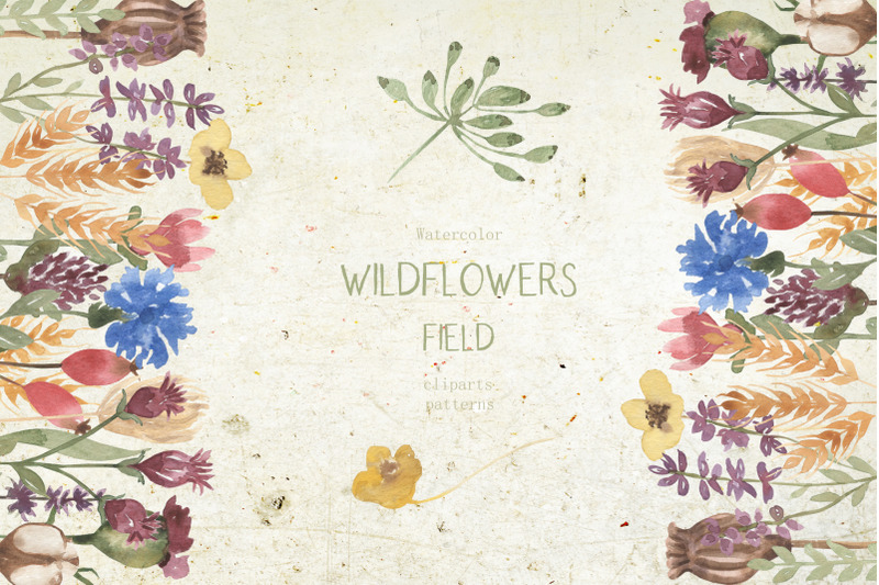 wildflowers-field