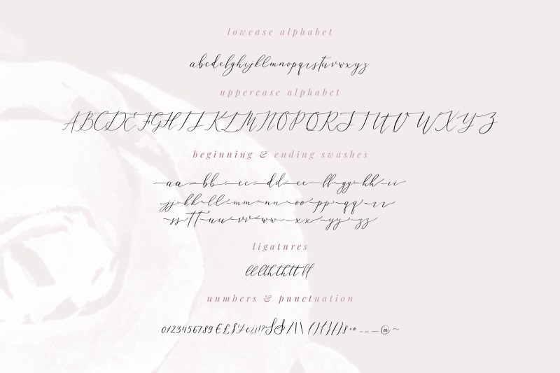 leisoll-reef-calligraphy-font