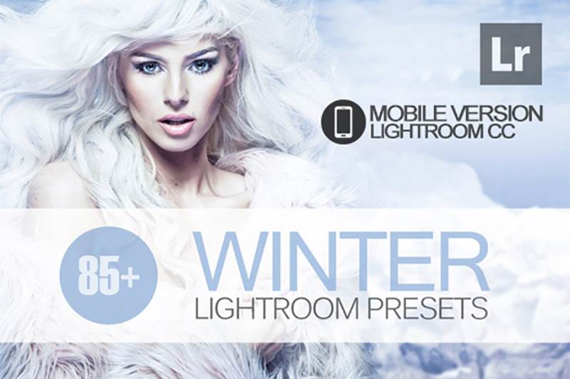 85-winter-lightroom-mobile-presets