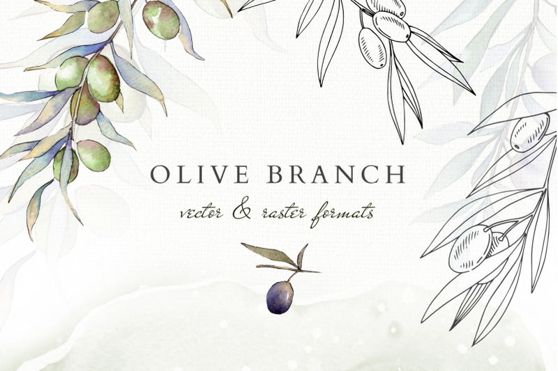 olive-branches-collection-nbsp-watercolor-png