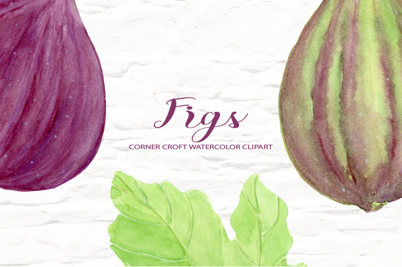 watercolor-fig-clipart