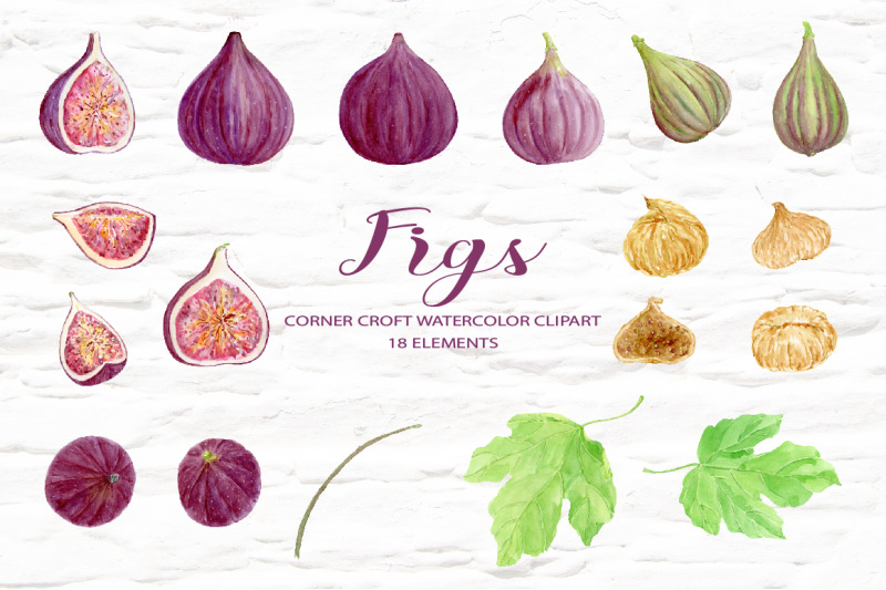 watercolor-fig-clipart