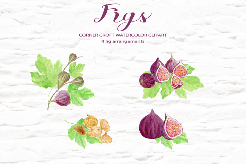 watercolor-fig-clipart