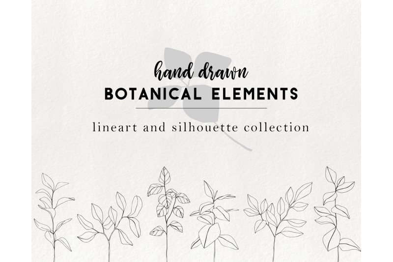 hand-drawn-floral-elements-branch-clip-art-botanical-illustrations