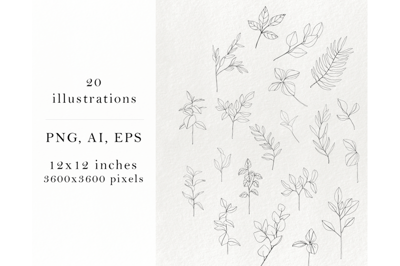 hand-drawn-floral-elements-branch-clip-art-botanical-illustrations