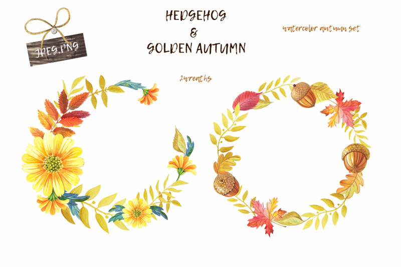 hedgehog-amp-golden-autumn