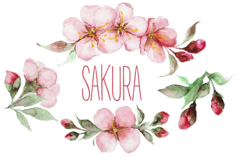 sakura-watercolor-set