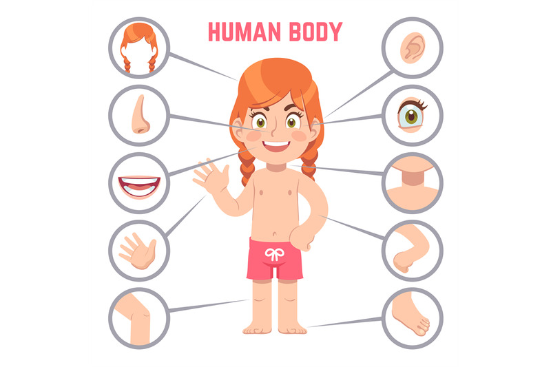 girl-body-parts-human-child-with-eye-nose-and-chest-head-knee-leg