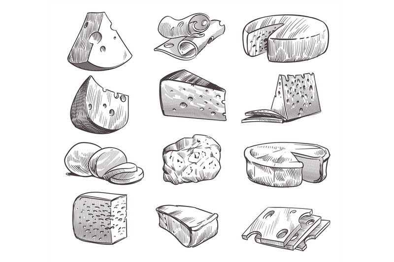 sketch-cheese-various-types-of-cheeses-fresh-cheddar-feta-and-parme