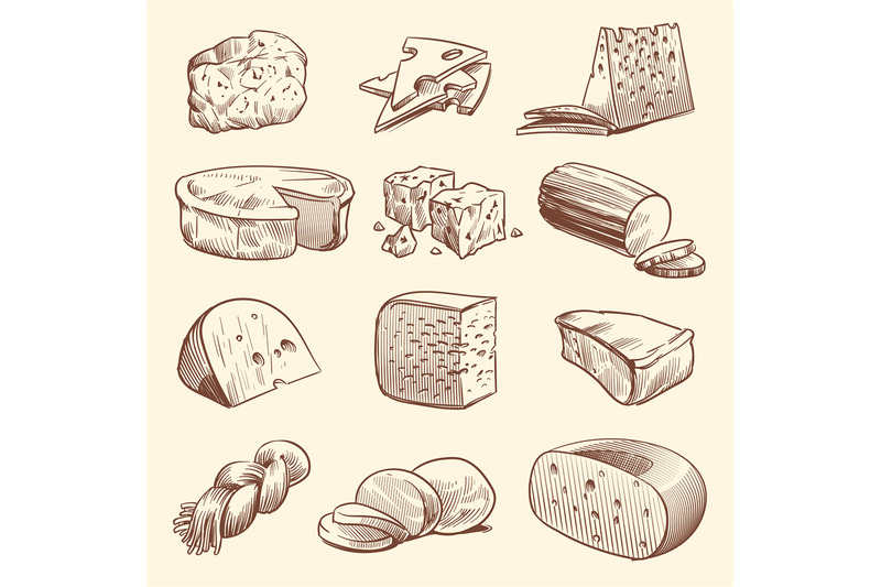 hand-drawn-cheese-various-types-of-cheeses-tasty-brie-mozzarella-an