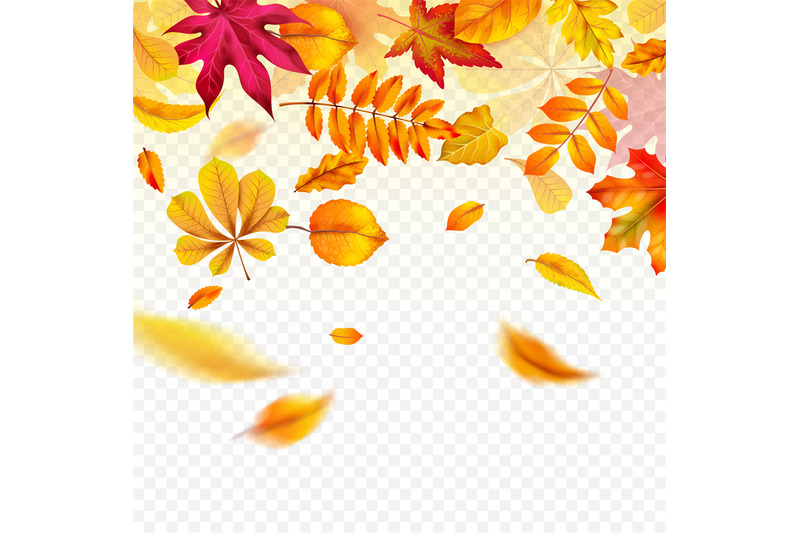 falling-autumn-leaves-flying-yellow-fall-foliage-autumnal-frame-bord