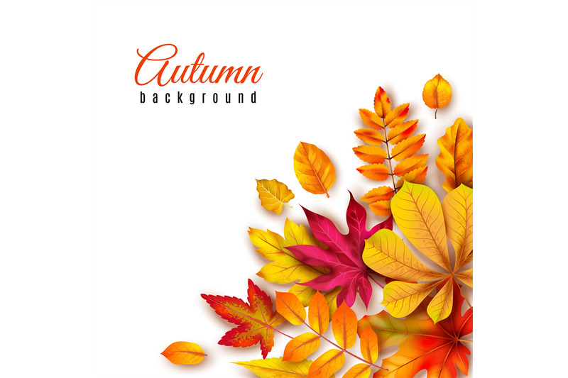 autumn-leaves-background-autumnal-border-with-isolated-yellow-maple