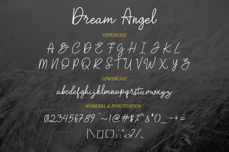 dream-angle