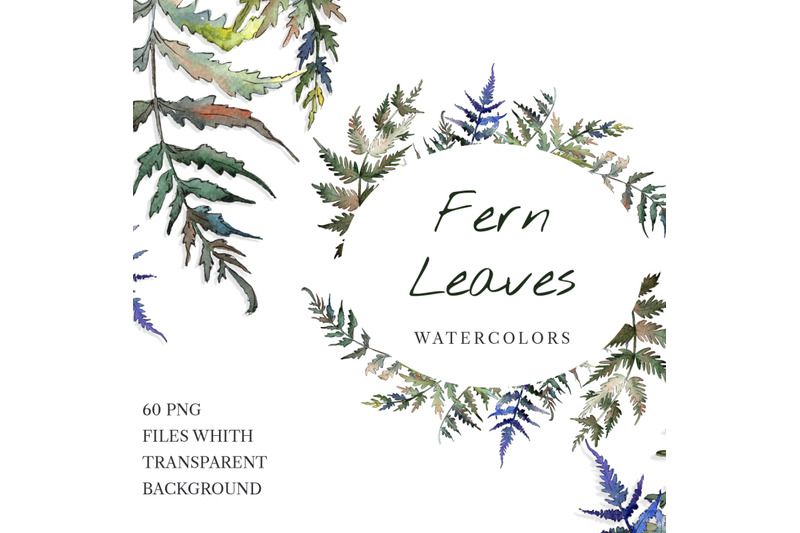 fern-leaf-clipart-watercolor-png