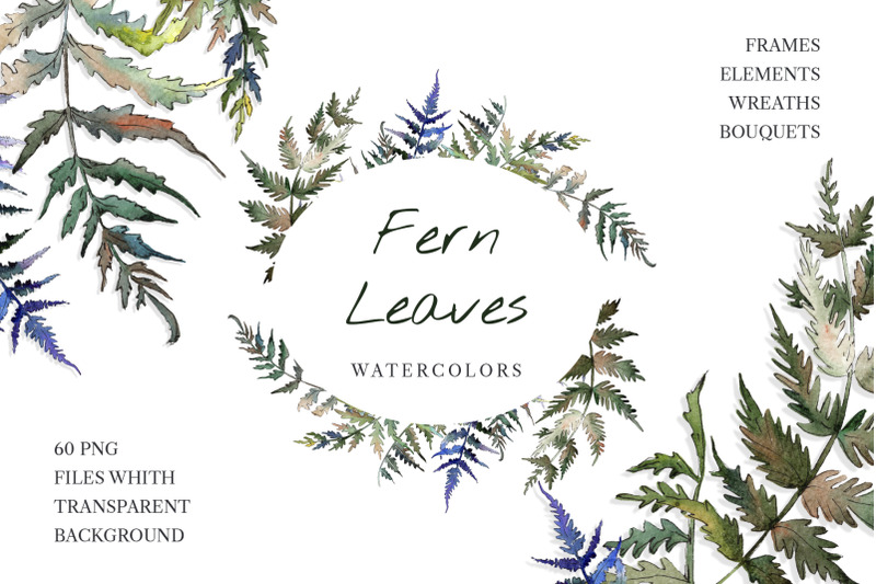 fern-leaf-clipart-watercolor-png