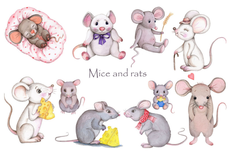 mice-and-rats