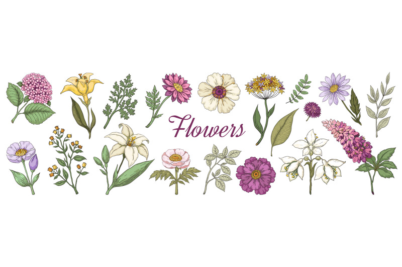 hand-drawn-flowers-floral-vintage-bouquet-garden-flower-set-for-post