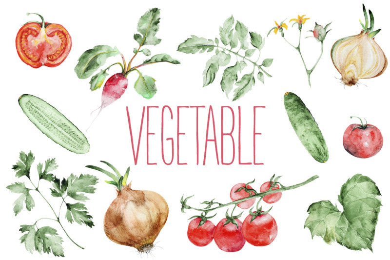 vegetables-watercolor-collection