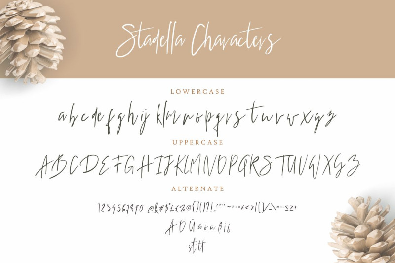 stadella-signature-script