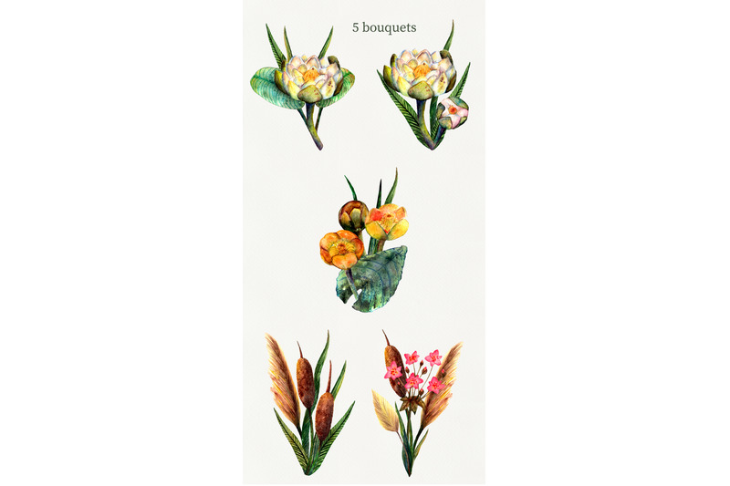 swamp-plants-and-flowers-watercolor-set