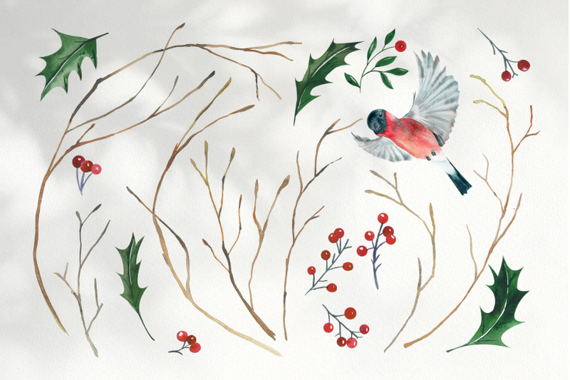 watercolor-christmas-bullfinch-set