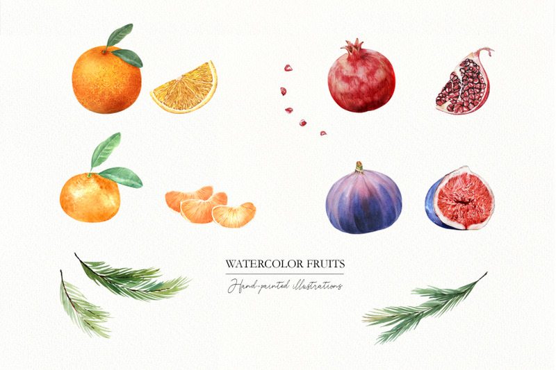 christmas-fruits-watercolor-set